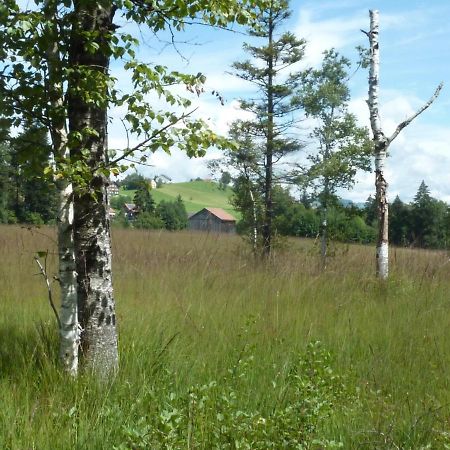 Appartamento Haus Berchtold Alberschwende Esterno foto