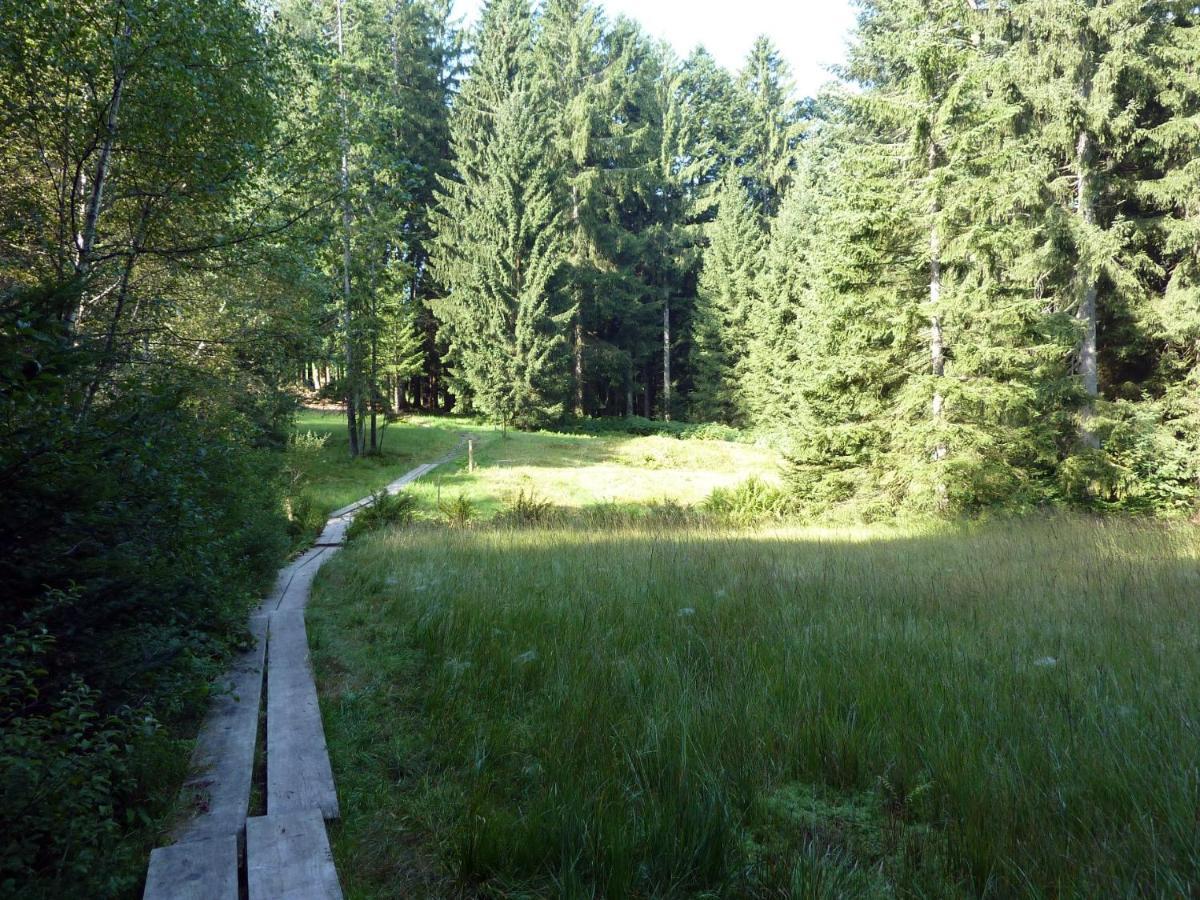 Appartamento Haus Berchtold Alberschwende Esterno foto